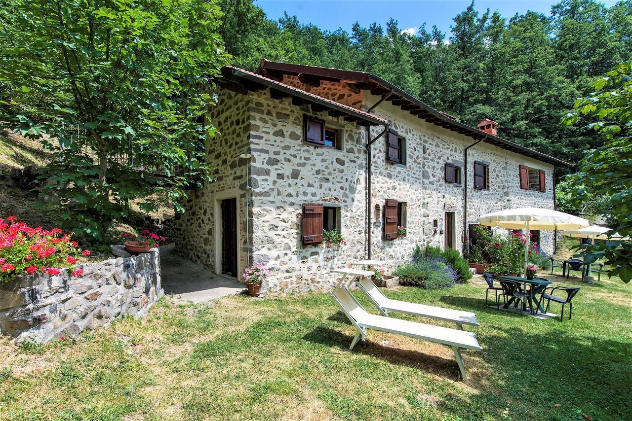 Agriturismo Il Gufo San Marcello Pistoiese Oda fotoğraf