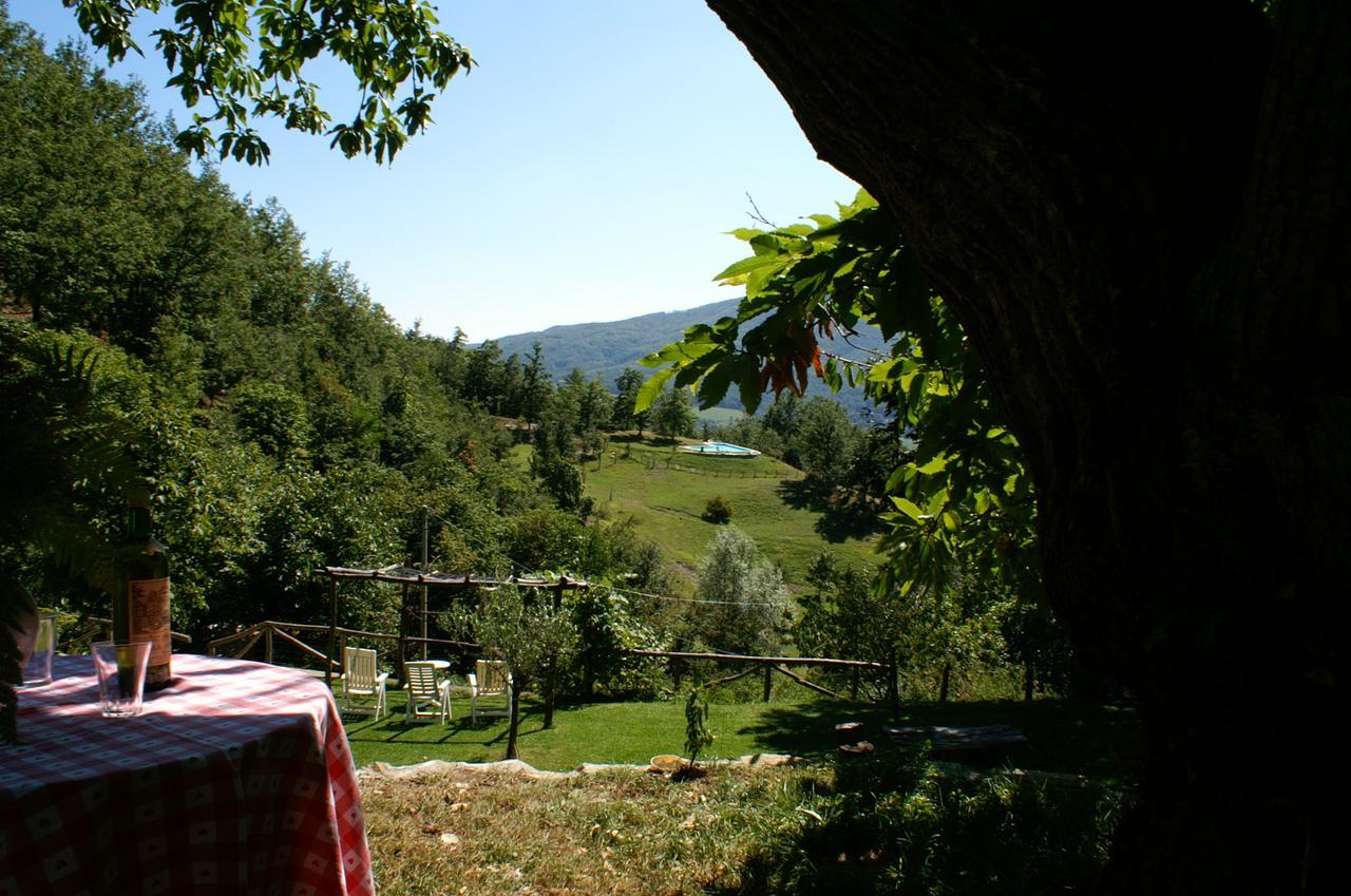 Agriturismo Il Gufo San Marcello Pistoiese Dış mekan fotoğraf
